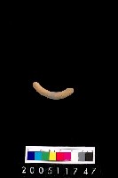 藏品(陶環)的圖片