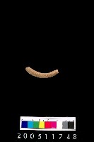 藏品(陶環)的圖片