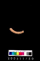 藏品(陶環)的圖片