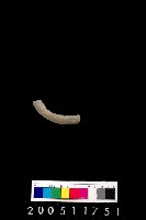 藏品(陶環)的圖片