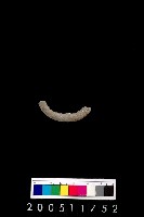 藏品(陶環)的圖片