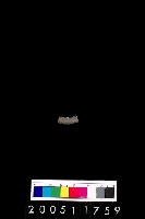 藏品(陶環)的圖片