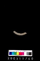 藏品(陶環)的圖片