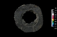 藏品(石環)的圖片