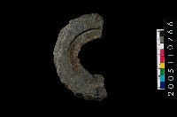 藏品(石環)的圖片