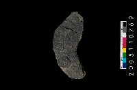 藏品(石環)的圖片