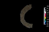 藏品(石環)的圖片