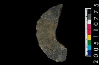 藏品(石環)的圖片