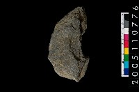 藏品(石環)的圖片