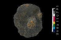 藏品(打製板岩片)的圖片