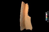 藏品(罐口緣)的圖片