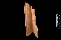 藏品(帶紋罐口緣)的圖片