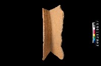 藏品(罐口緣)的圖片