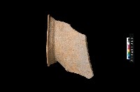 藏品(帶紋罐口緣)的圖片