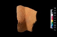 藏品(罐口緣)的圖片