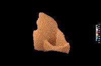 藏品(帶把罐口)的圖片