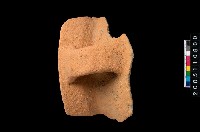 藏品(帶把罐口)的圖片