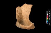 藏品(罐口緣)的圖片