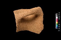 藏品(帶把罐口)的圖片