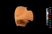 藏品(帶把罐口)的圖片