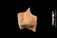 藏品(帶把罐口)的圖片