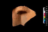 藏品(帶把罐口)的圖片