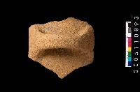 藏品(帶把罐口)的圖片