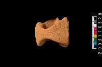 藏品(帶把罐口)的圖片