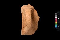 藏品(帶把罐口)的圖片