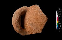 藏品(缽口緣)的圖片