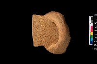 藏品(缽口緣)的圖片