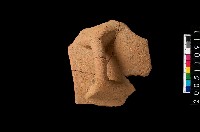 藏品(缽口緣)的圖片