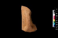 藏品(缽口緣)的圖片