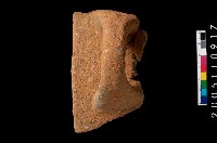 藏品(缽口緣)的圖片