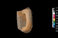 藏品(缽口緣)的圖片