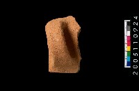 藏品(缽口緣)的圖片