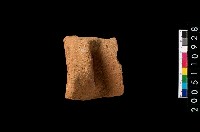 藏品(缽口緣)的圖片