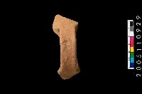 藏品(缽口緣)的圖片