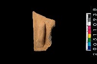 藏品(缽口緣)的圖片