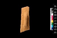 藏品(缽口緣)的圖片