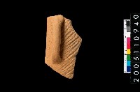 藏品(缽口緣)的圖片