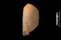 藏品(缽口緣)的圖片