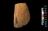 藏品(缽口緣)的圖片