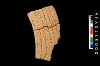 藏品(缽口緣)的圖片