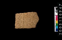 藏品(缽口緣)的圖片