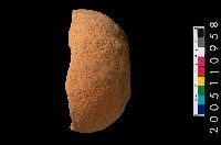 藏品(陶缽)的圖片