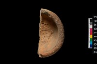 藏品(陶缽)的圖片