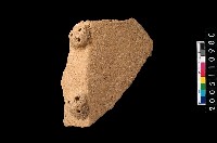 藏品(帶紋折肩)的圖片