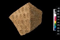 藏品(繩紋折肩)的圖片