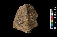 藏品(繩紋折肩)的圖片